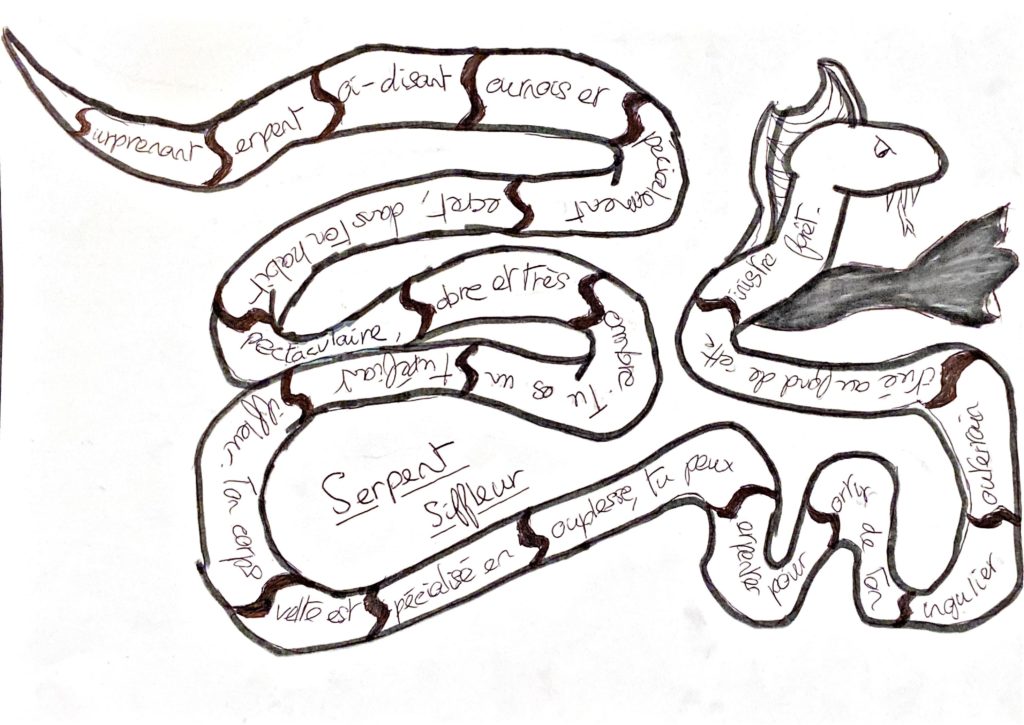 Scriptoformes