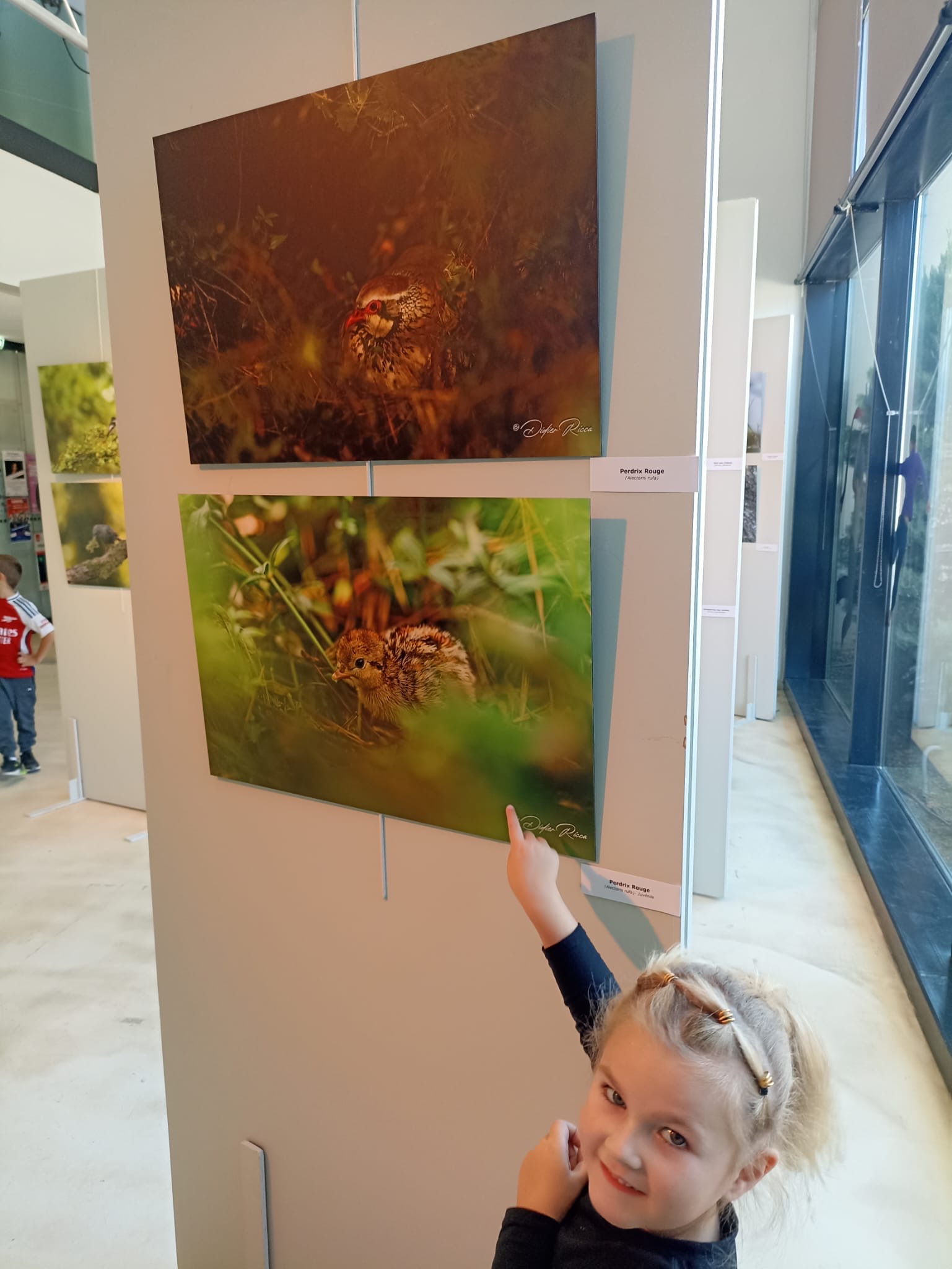 Expo