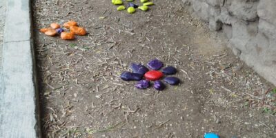 Une Journée 100 % Écologique à l’École Marie Rivier !