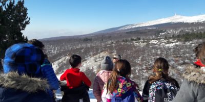 Sortie des CE1 et CE1/CE2 au Mont Ventoux