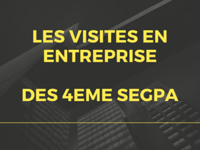 Visites d’entreprises : classe de 4ème SEGPA