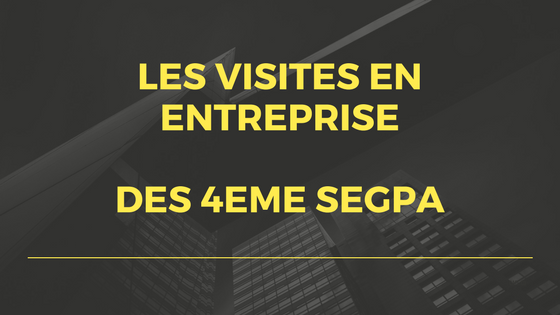 You are currently viewing Visites d’entreprises : classe de 4ème SEGPA