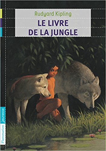 You are currently viewing Le Livre de la Jungle par les 6E