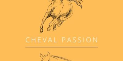 Sortie à Cheval Passion élèves du dispositif ULIS