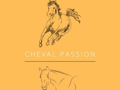 Sortie à Cheval Passion élèves du dispositif ULIS