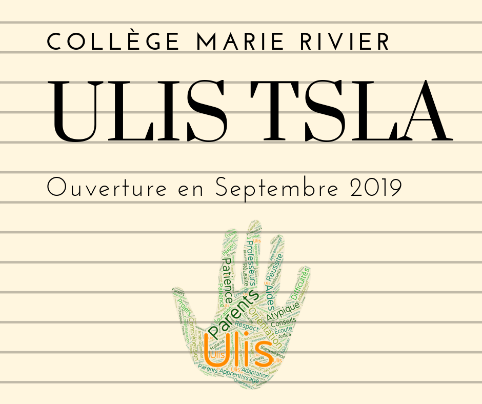 You are currently viewing ULIS TSLA au collège Marie Rivier