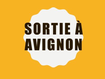 Sortie à Avignon avec les élèves ULIS