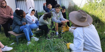 Projet Ruche