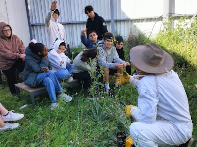 Projet Ruche