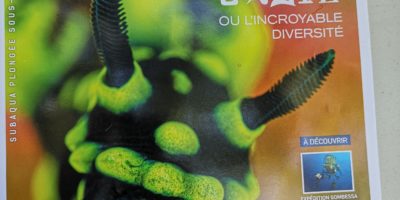 Sortie Plongée