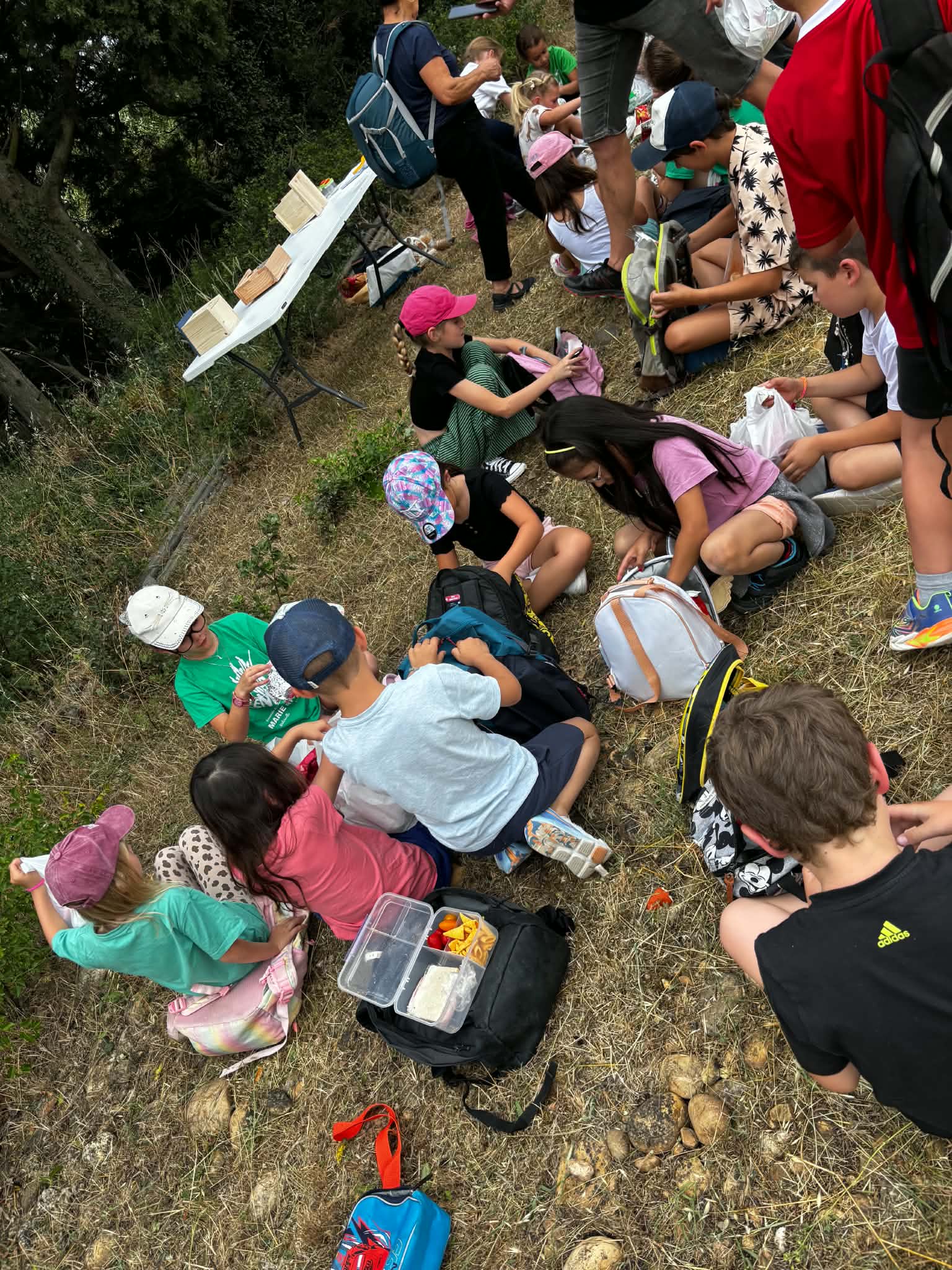 Eco délégué