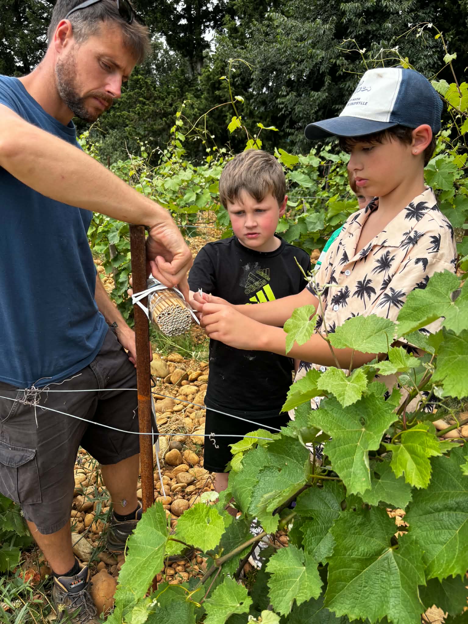 Eco délégué