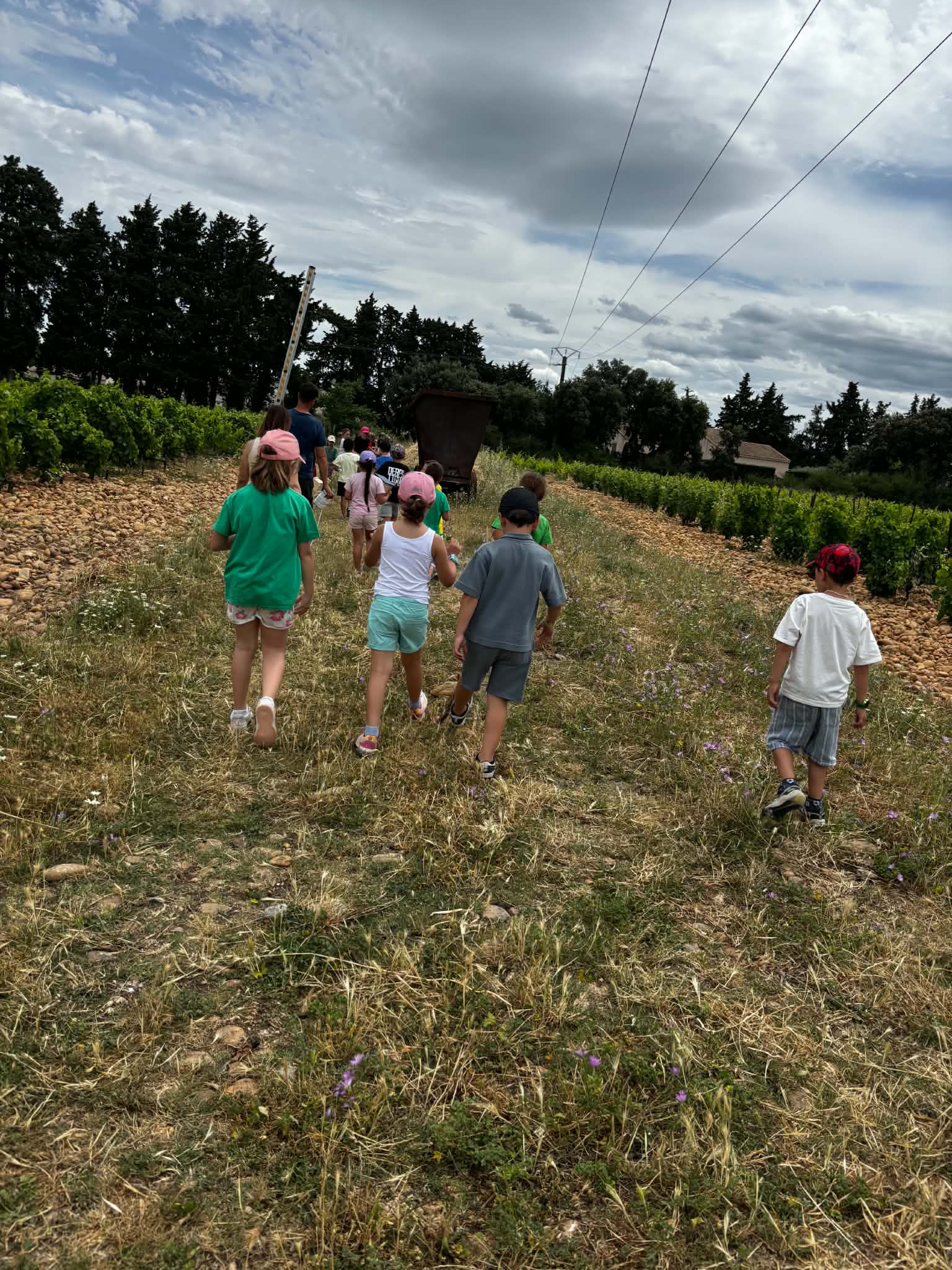Eco délégué