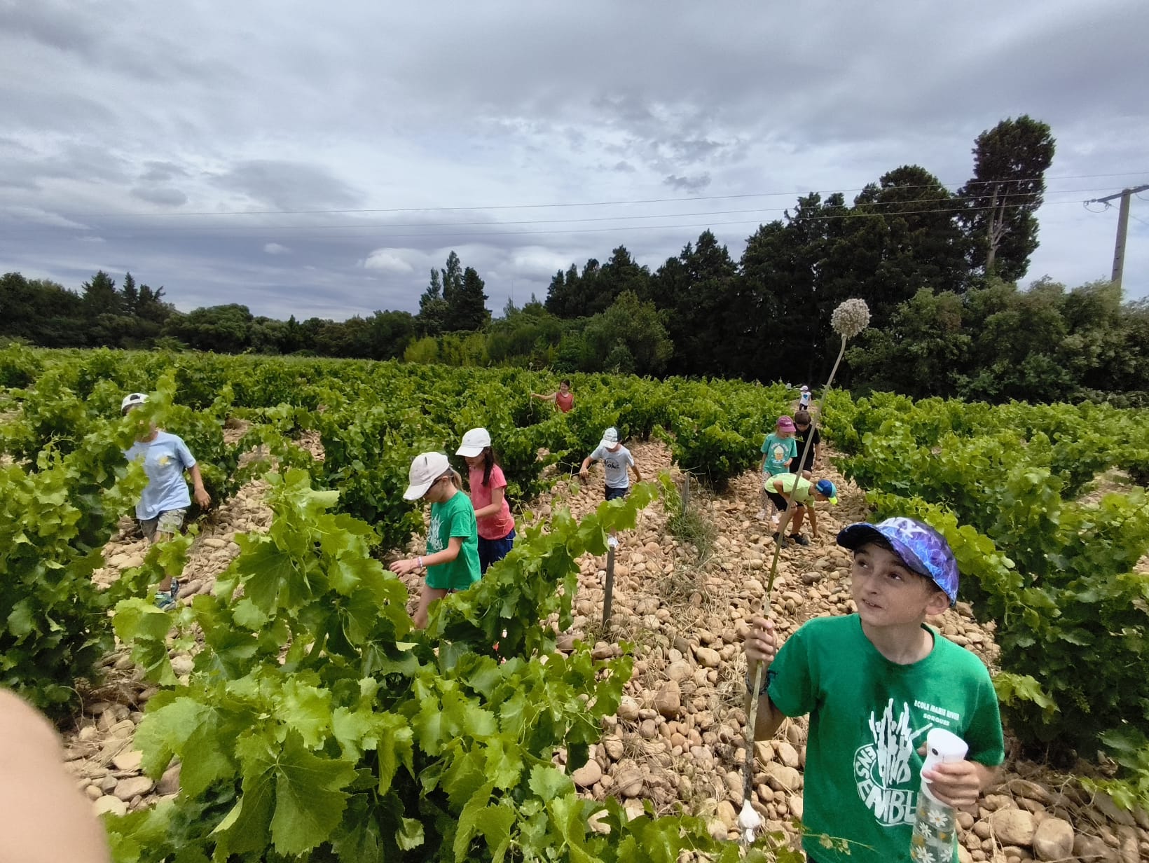 Eco délégué