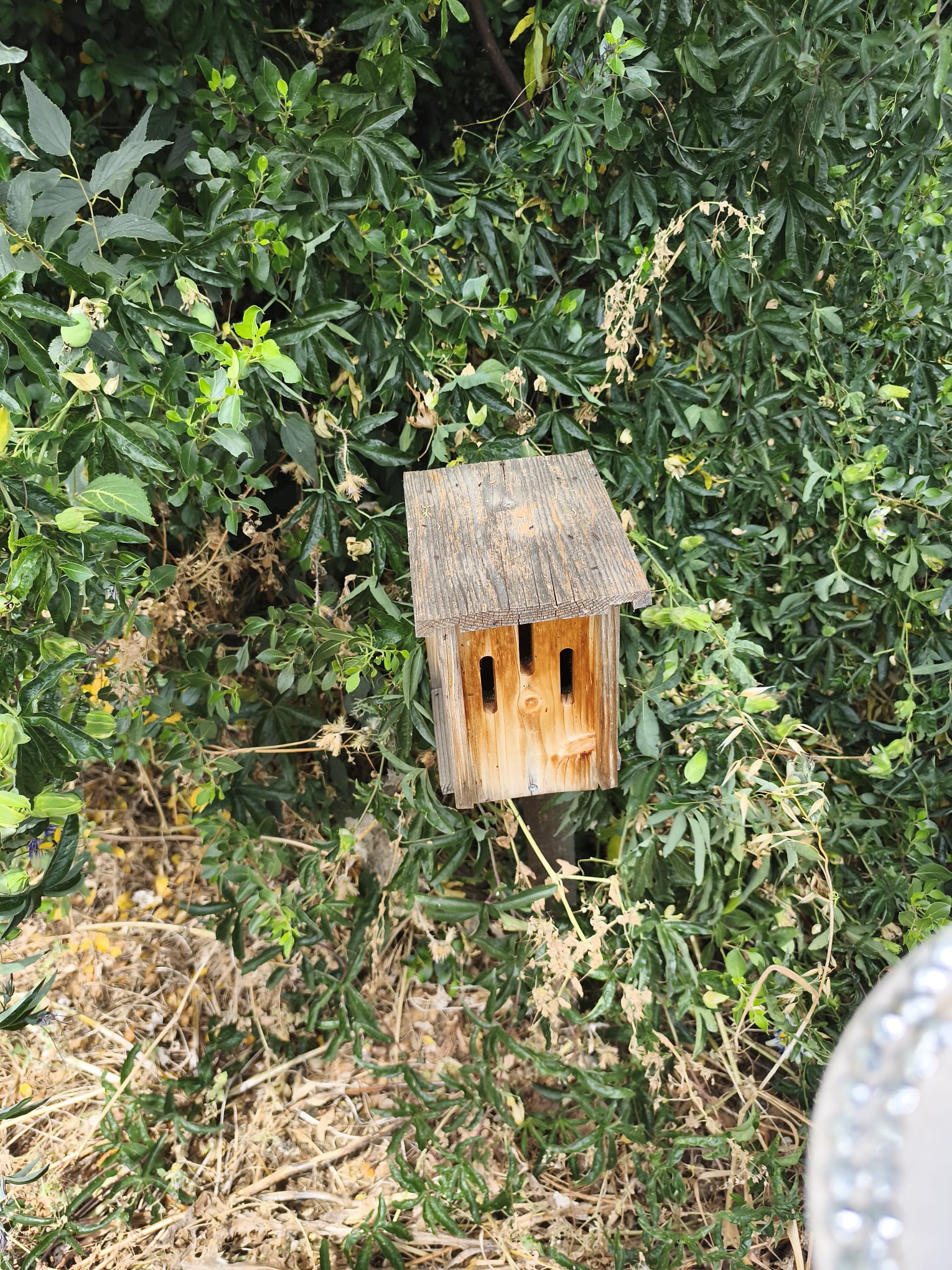 Eco délégué