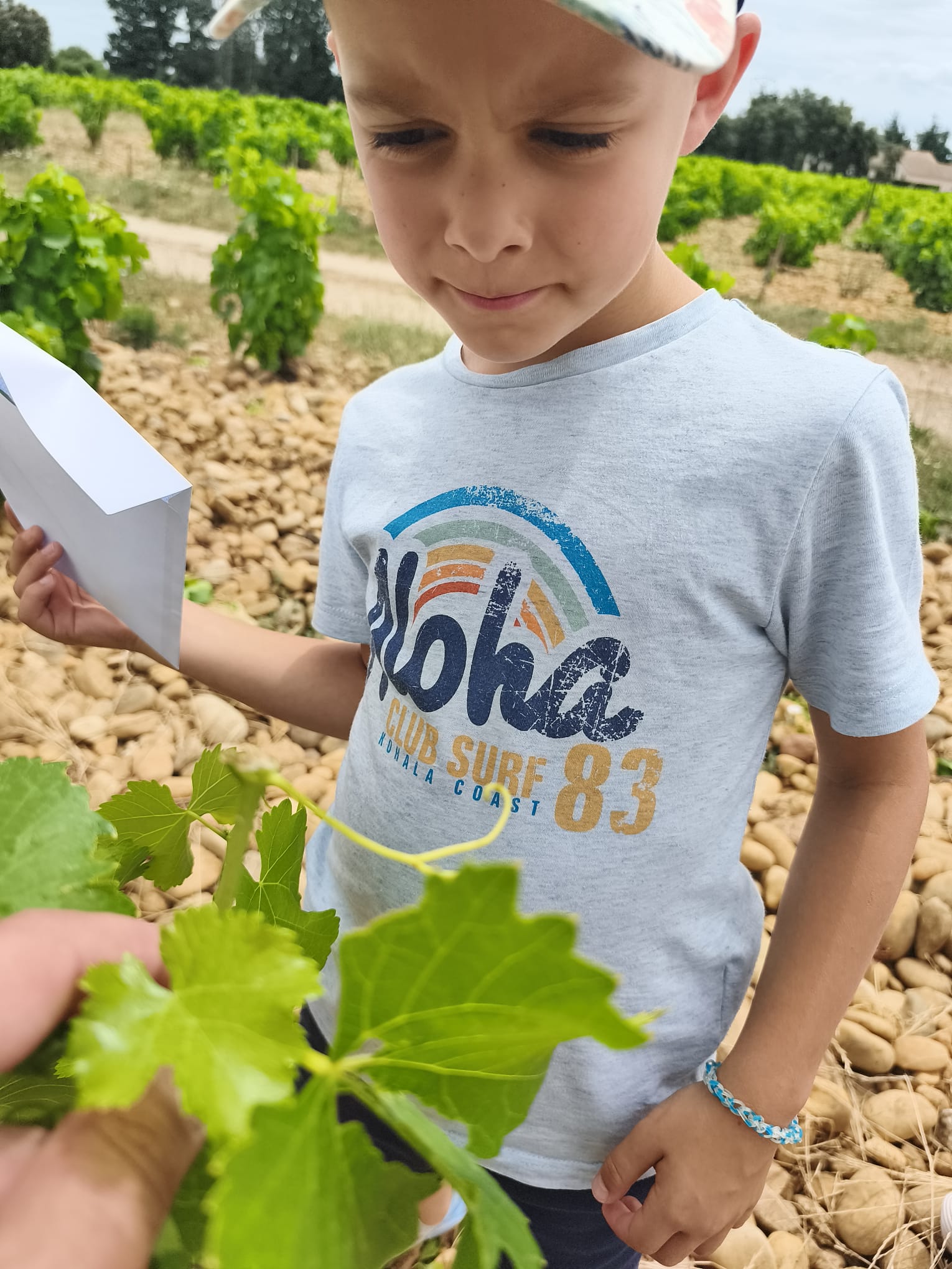 Eco délégué
