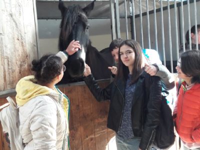 Les élèves ULIS à Cheval Passion