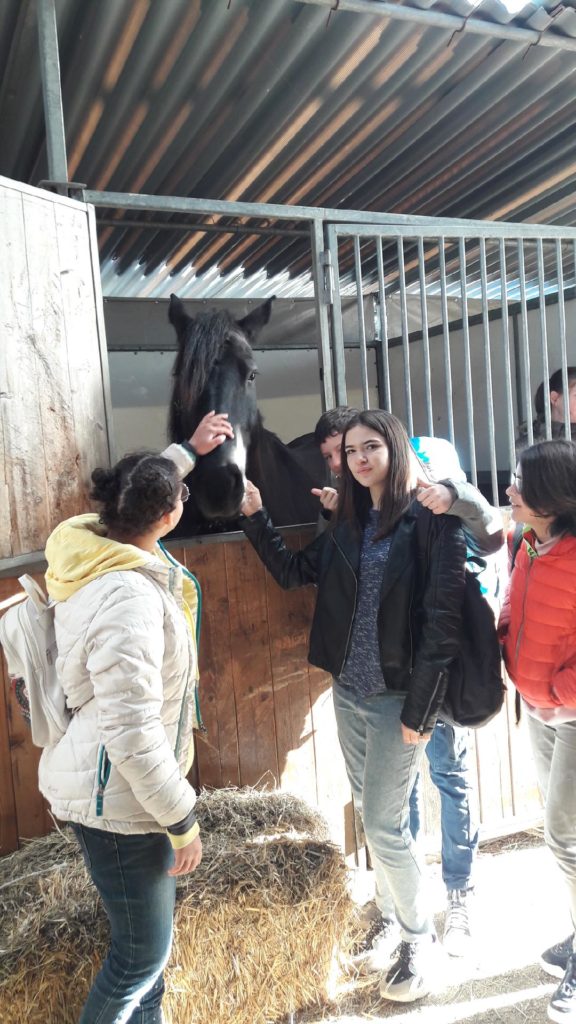 Cheval passion