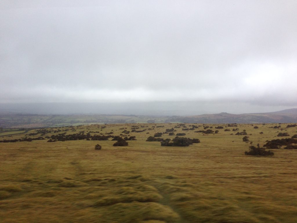 visite du parc national Dartmoor