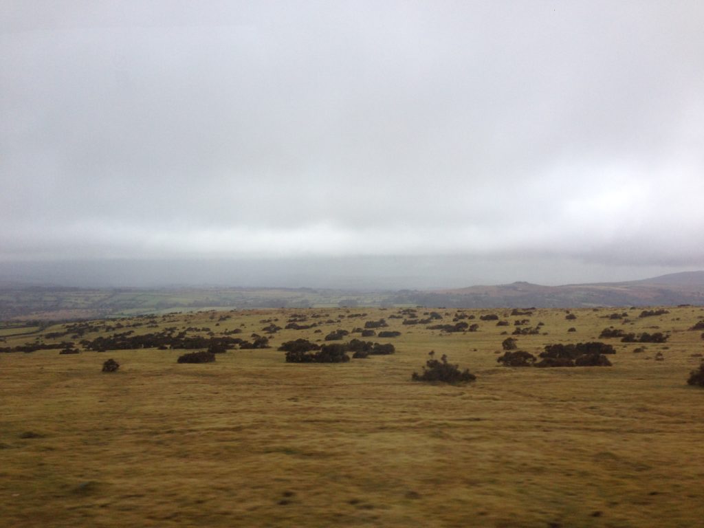 visite du parc national Dartmoor