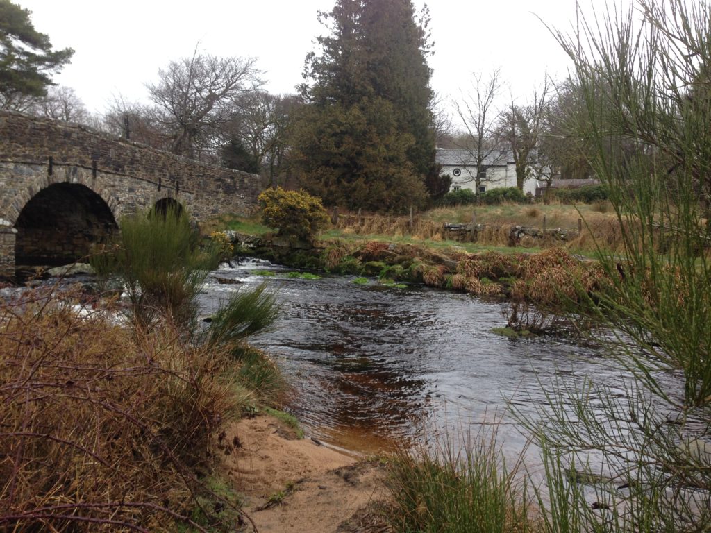 visite du parc national Dartmoor