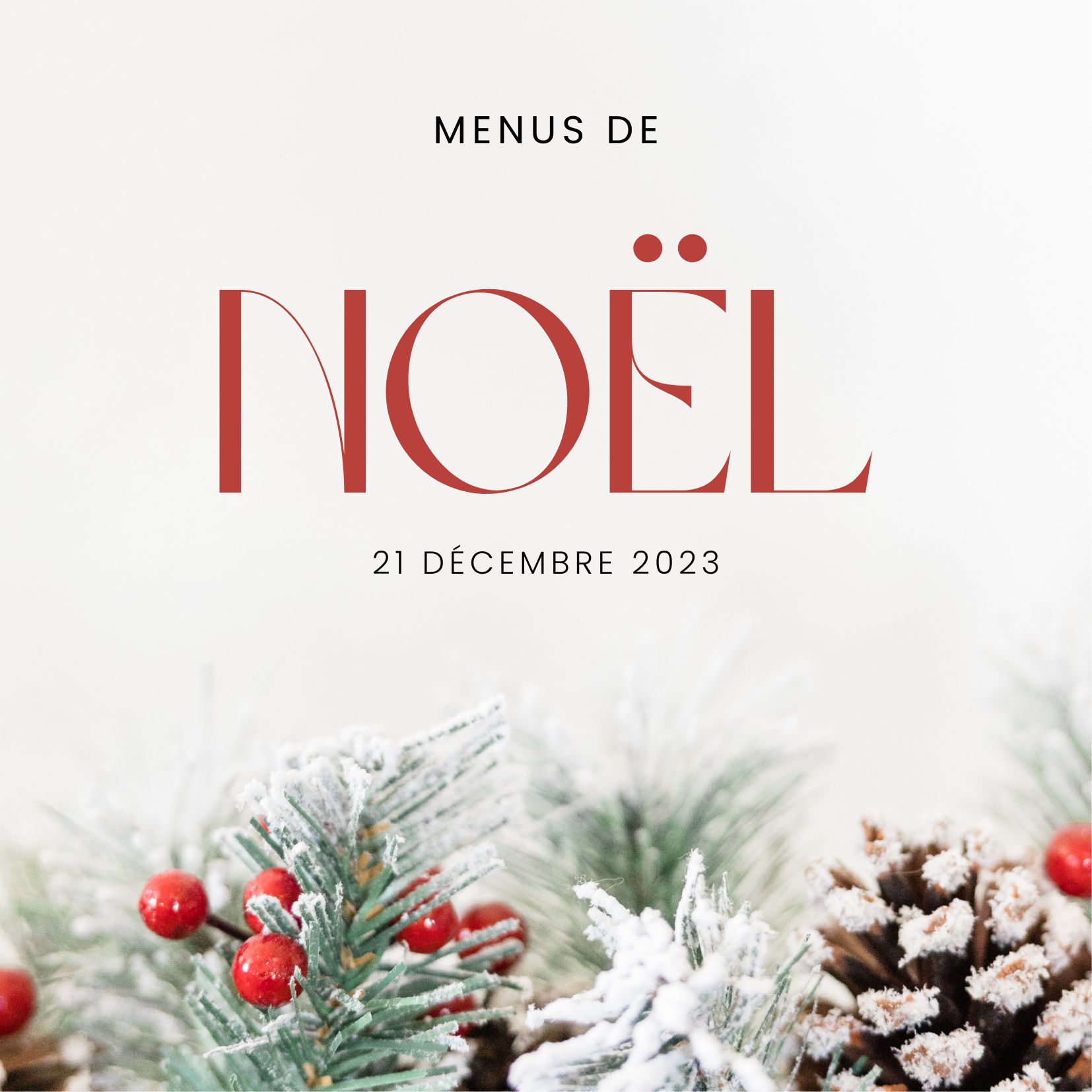 You are currently viewing Menus de Noël