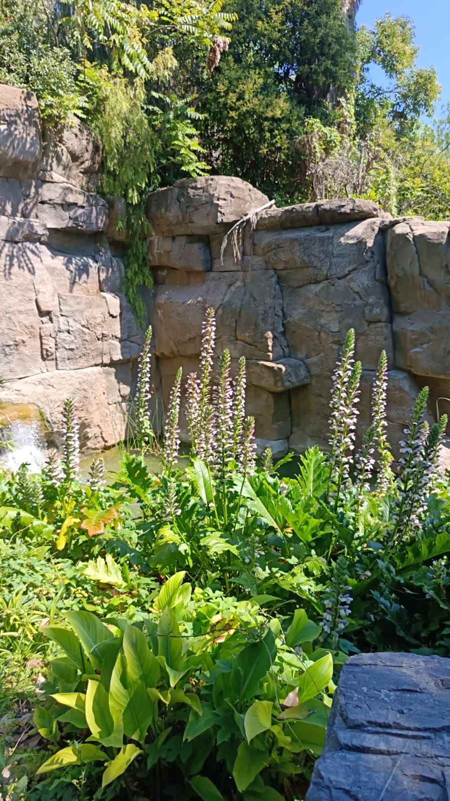 Port Aventura