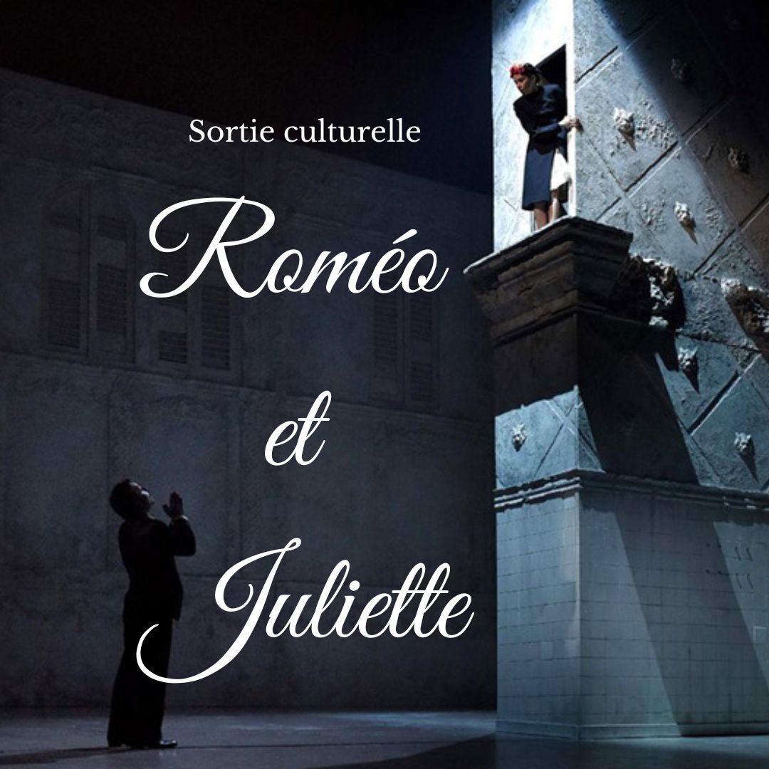 You are currently viewing Sortie culturelle de 1er décembre 2023
