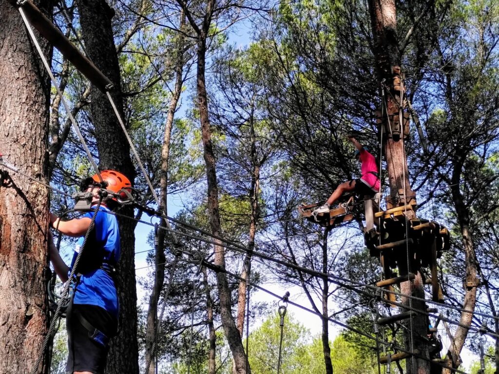 Accrobranche et canoé
