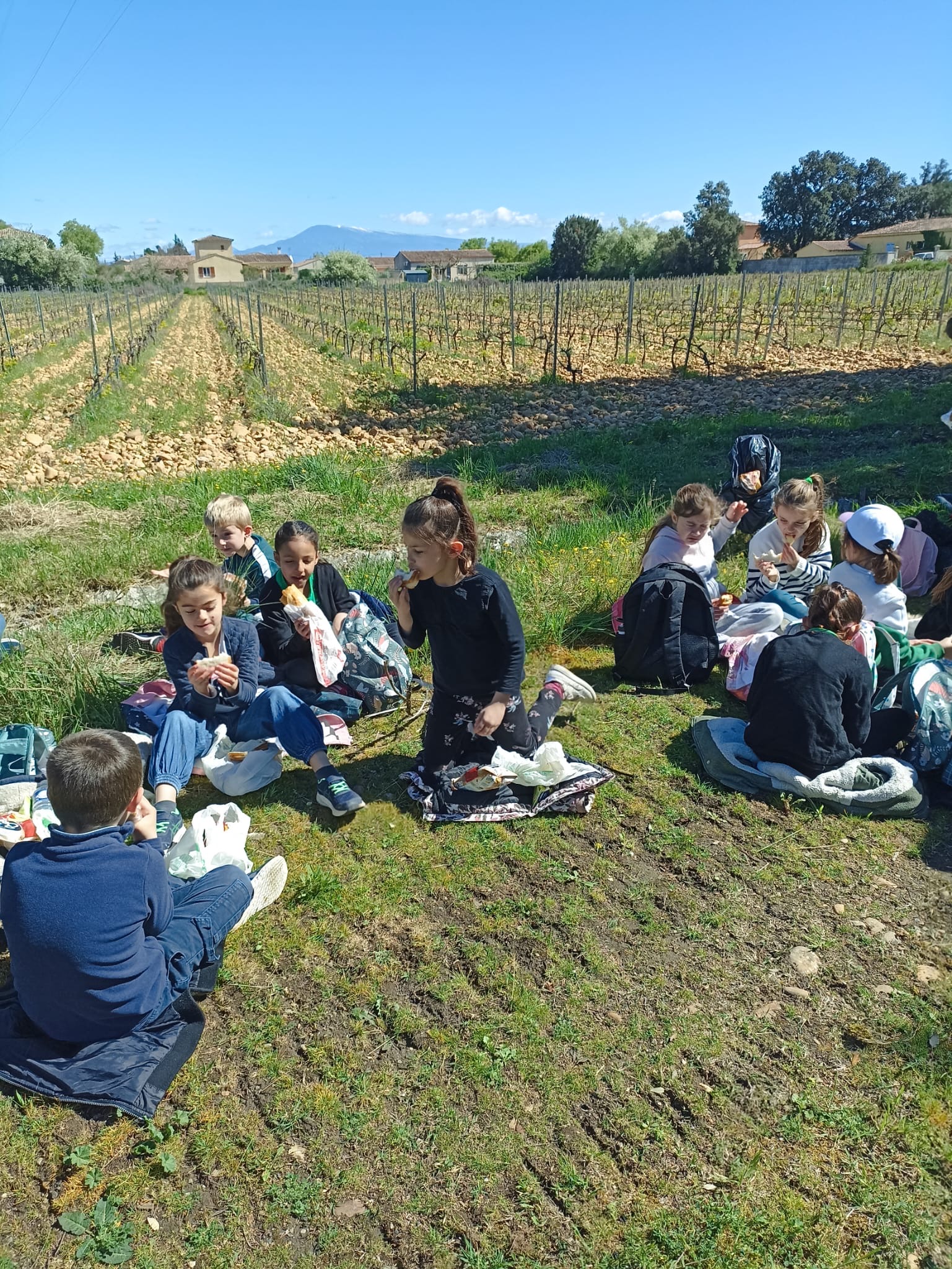 ECOJOURNEE
