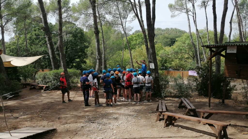Sortie cohésion